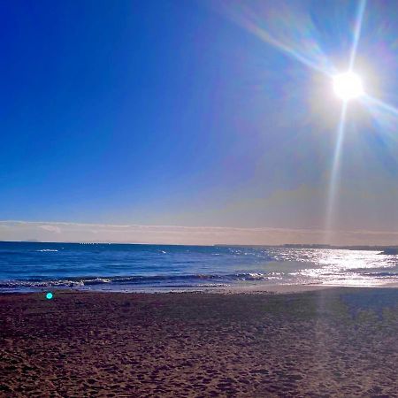 Appartamento De Vacaciones Torrevieja Esterno foto